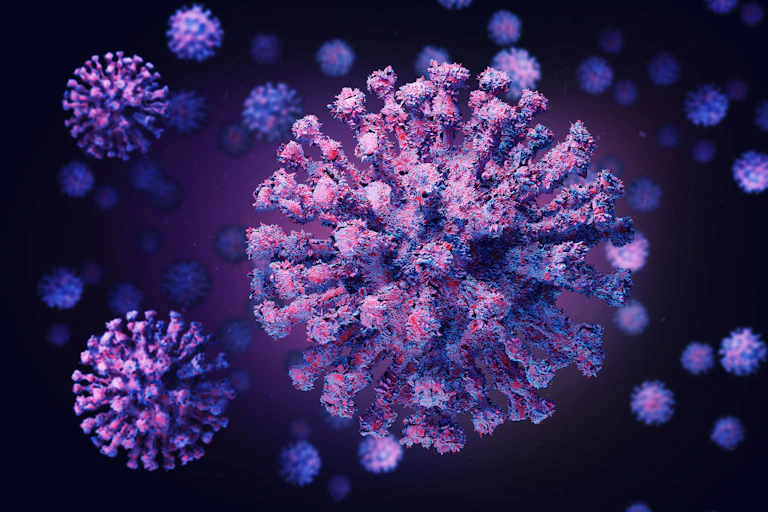 SARS-CoV-2, the coronavirus that causes COVID-19.