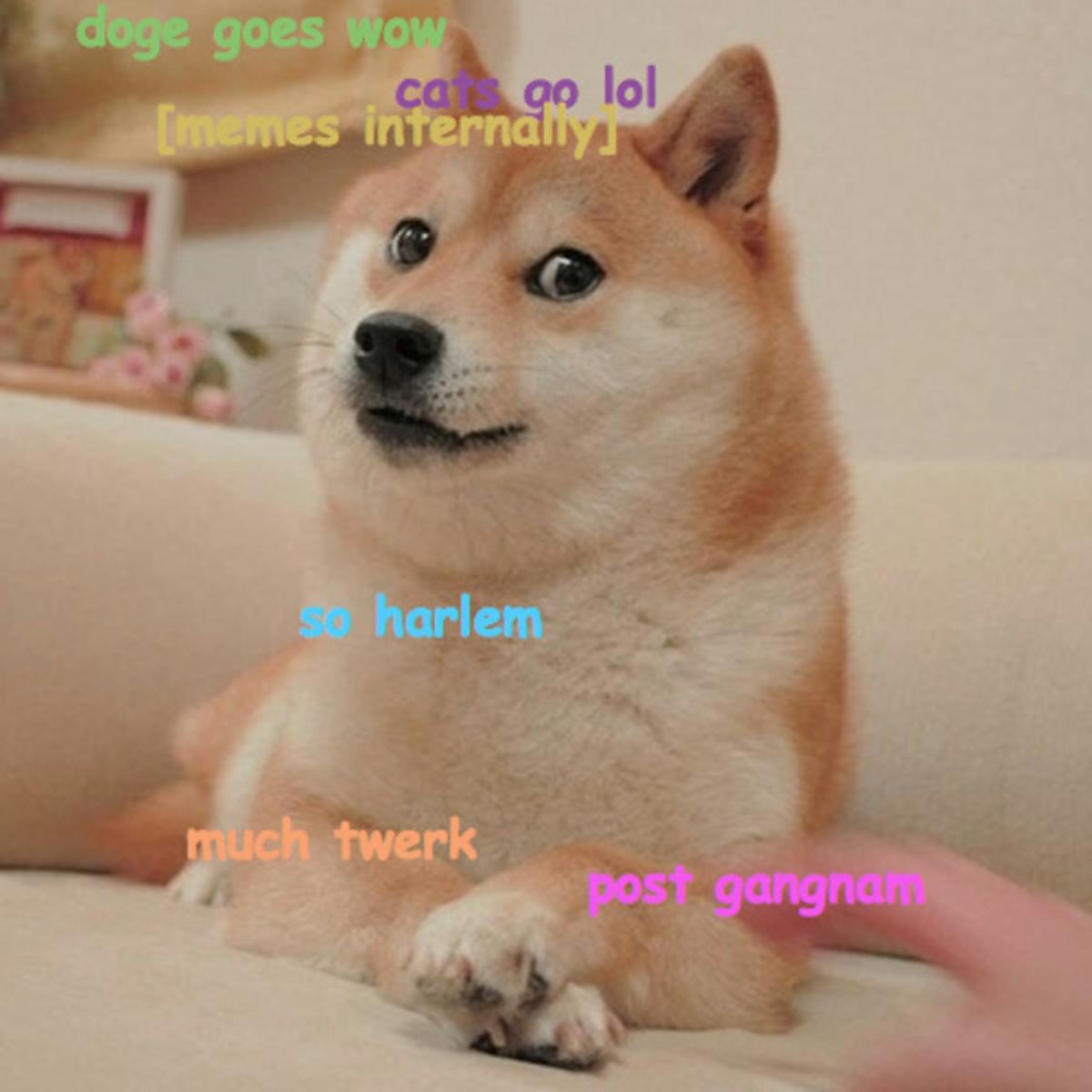 Cat Memes 2019 60 Cat Memes To Inspire You To Take A Photo Of