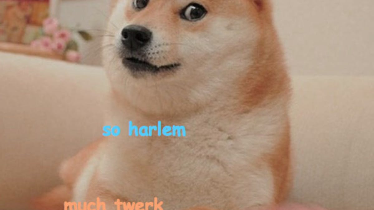 The Year Of The Doge: 2013'S Top Meme Owes It All To Lolcats
