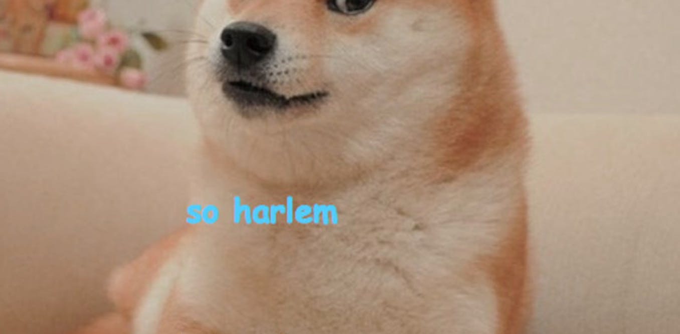The Year Of The Doge 2013 S Top Meme Owes It All To Lolcats