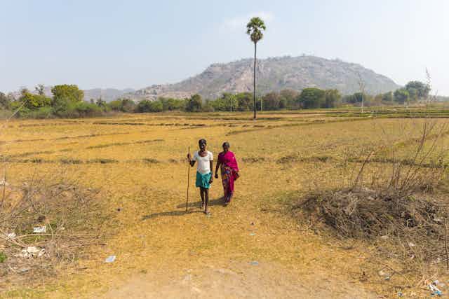 a man and woman walk through a dry yellow field