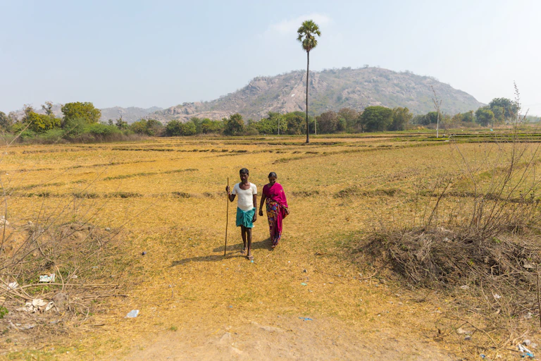 a man and woman walk through a dry yellow field