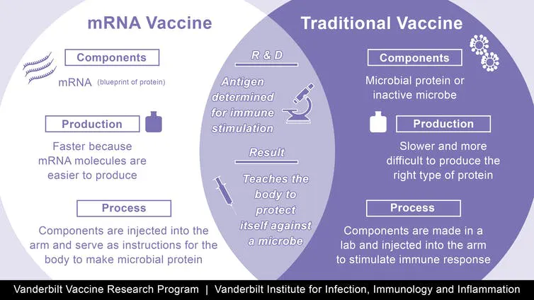 Description of differences between mRNA and traditional vaccines