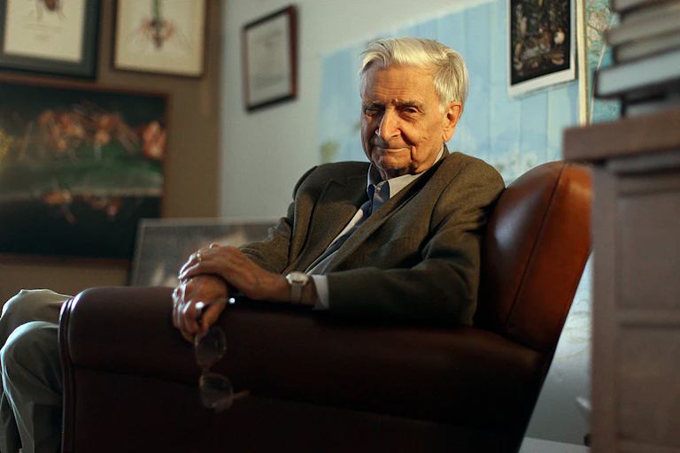 Wilson seated in a leather chair.