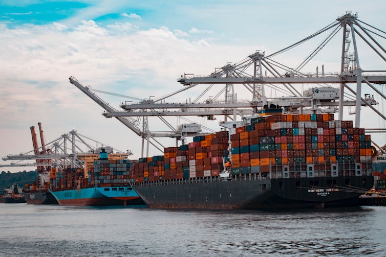 Cranes and container ships at the Port of Seattle.