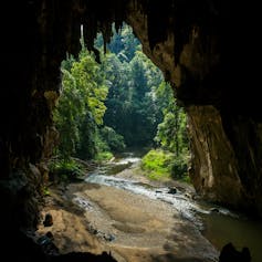 Stalactites hang from cave ceiling.