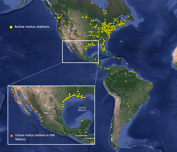 Scientist at work: Tracking the epic journeys of migratory birds in northwest Mexico