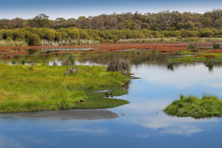 A reflective lake, with green vegetation surrounding it