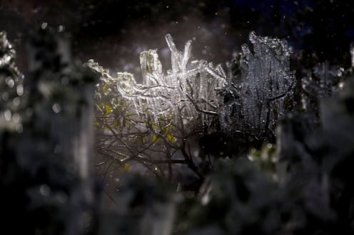 Power outages across the Plains: 4 questions answered about weather-driven blackouts