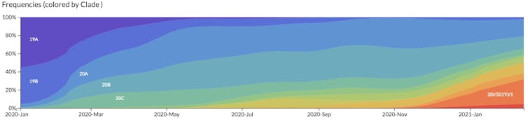 Graph showing the rise in new variants of the virus that causes COVID-19