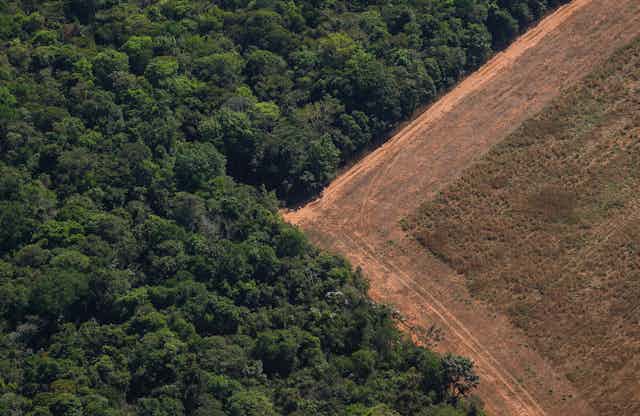 An aerial photo of a barren field next to a forest.