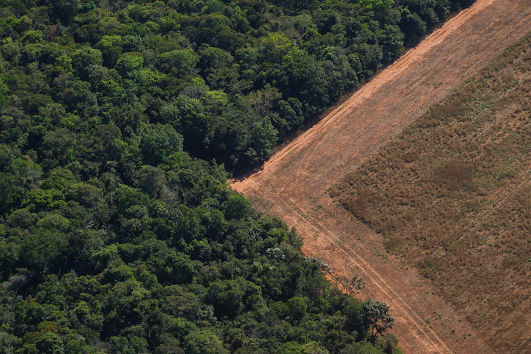 An aerial photo of a barren field next to a forest.