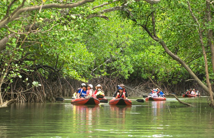Tourists kayaking on a river