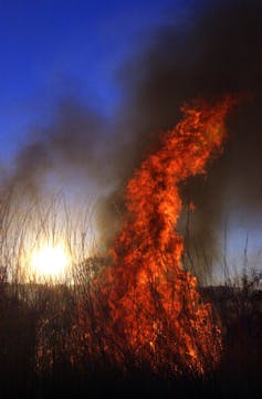 Indigenous expertise is reducing bushfires in northern Australia. It's time to consider similar approaches for other disasters