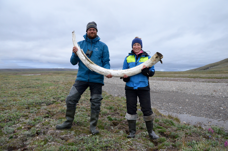 Two of the study authors holding a mammoth tusk.