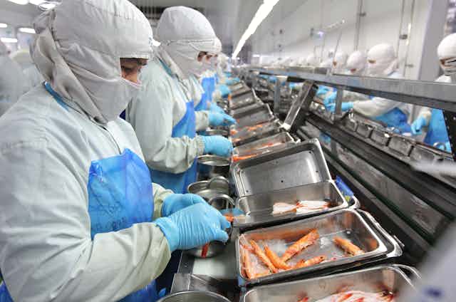 People work with masks on in a seafood processing plant. 