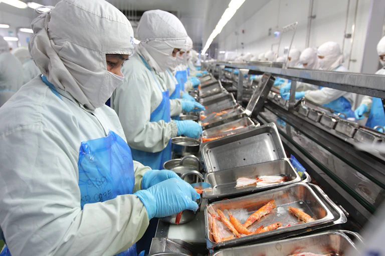 People work with masks on in a seafood processing plant.