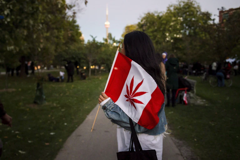 A woman carrying a flag with a cannabis leaf instead of a maple leaf