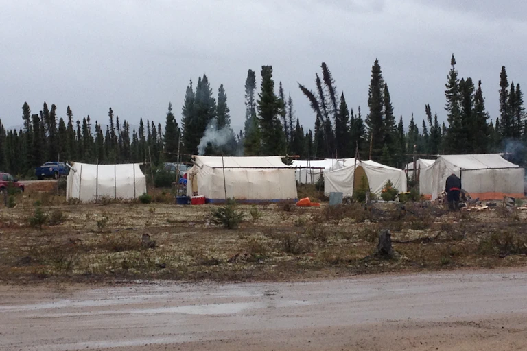 A gathering place with large white tents with tall trees in the background
