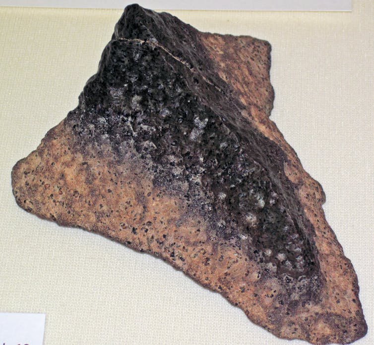 Martian meteorite