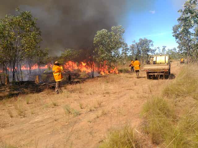 Rangers practice controlled burning in a landscape.