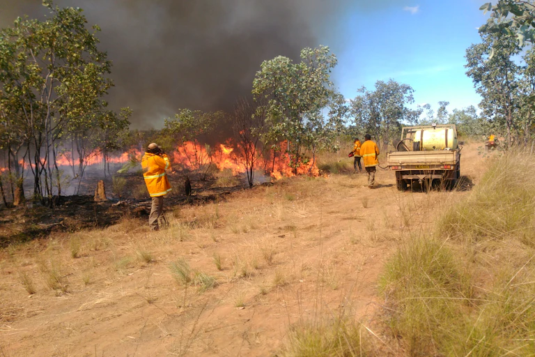 Rangers practice controlled burning in a landscape.
