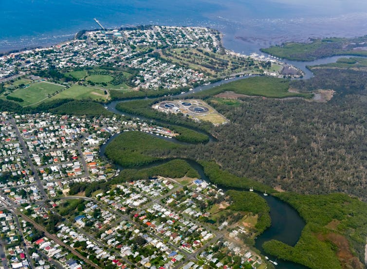 aerial view of mangrove-lined creek running through suburbs