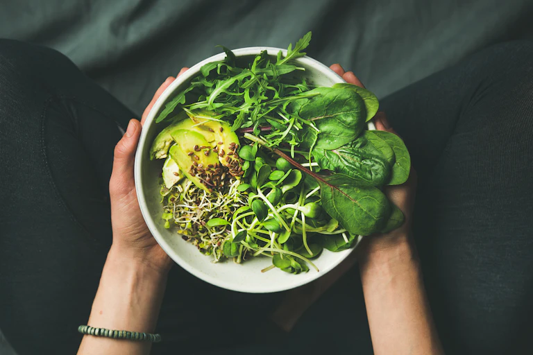 Someine holding out vegan bowl of food