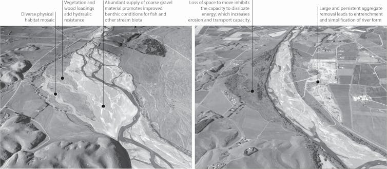 Images of river channels of the Ngaruroro River,
and how they changed between 1950 and 2020.