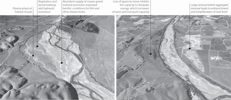 Images of river channels of the Ngaruroro River, and how they changed between 1950 and 2020.