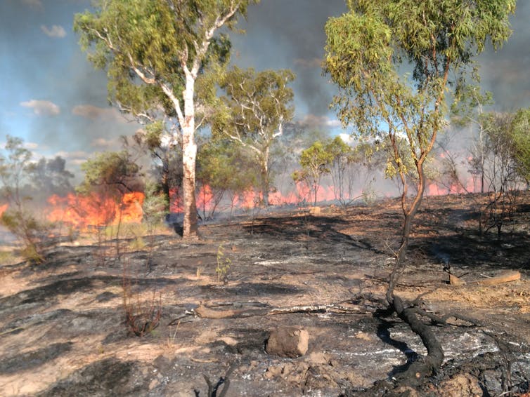 A landscape burns in a controlled burn.