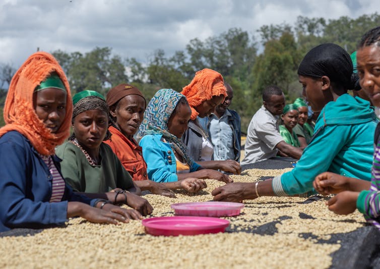 Women sitting around a table filled with coffee beans.