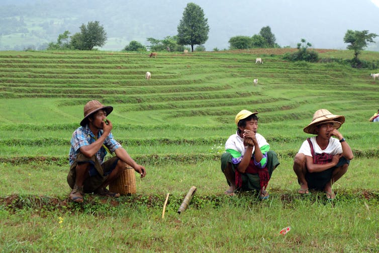 Farmers crouch in a field