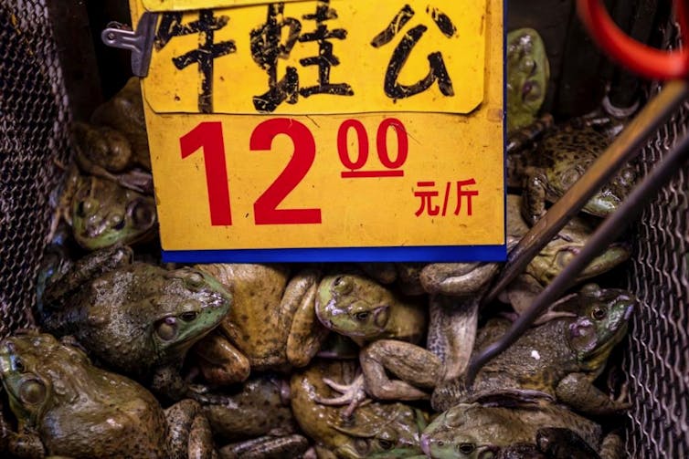 Sign in Chinese wet market