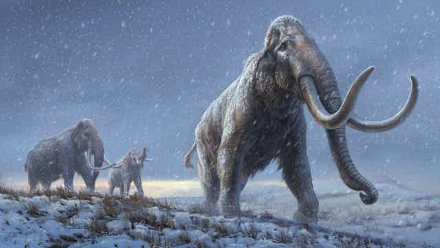 Dibujo de tres mamuts esteparios