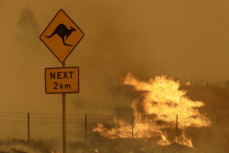 Fire burning near a road sign warning of kangaroos.