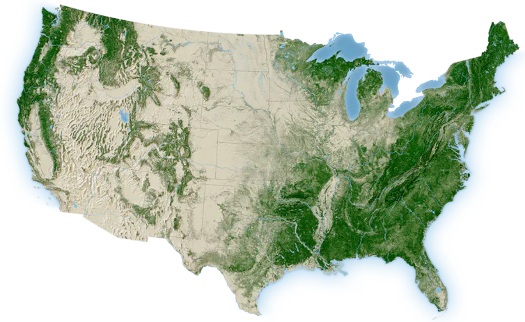 Map showing forested areas of the continental U.S.