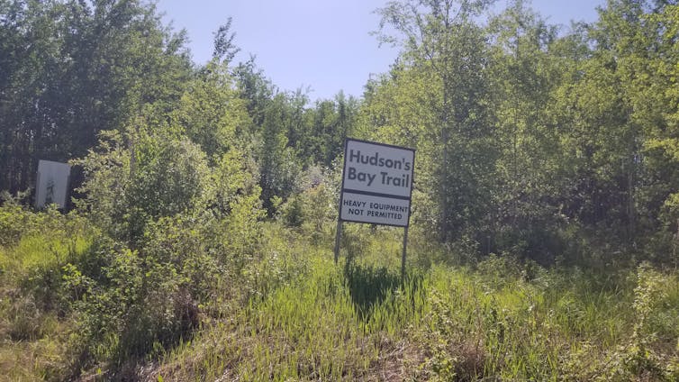 A sign that says Hudson Bay Trail by green trees.