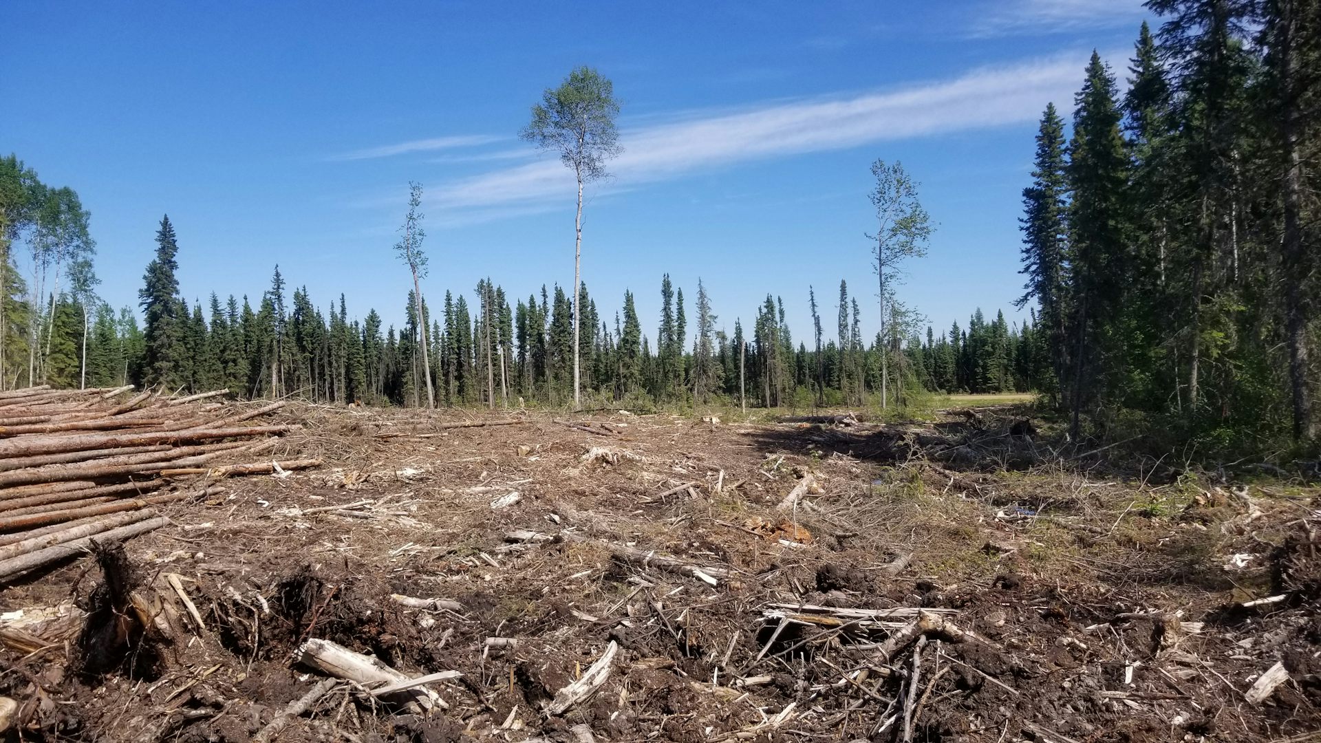 file-20210221-17-973di8.jpg?ixlib=rb-1.1