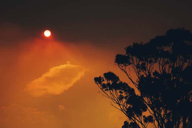 A red sun shines through smoke haze