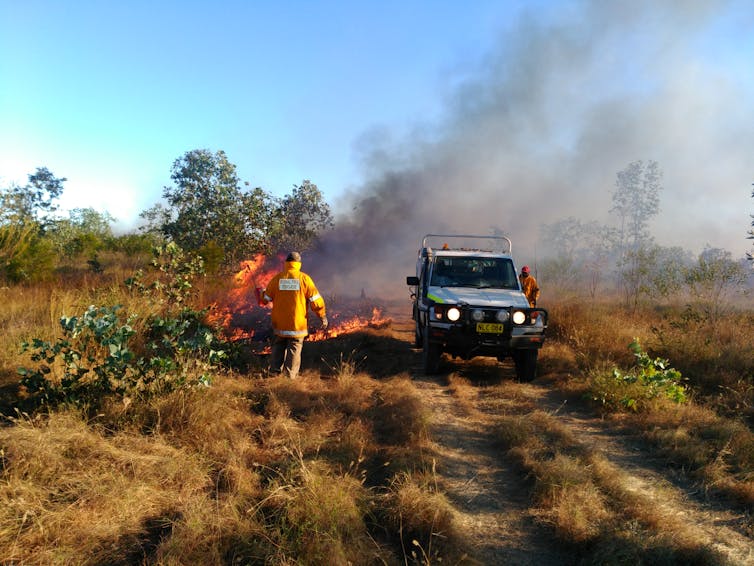 Land managers do prescribed burns to reduce wildfire risk.