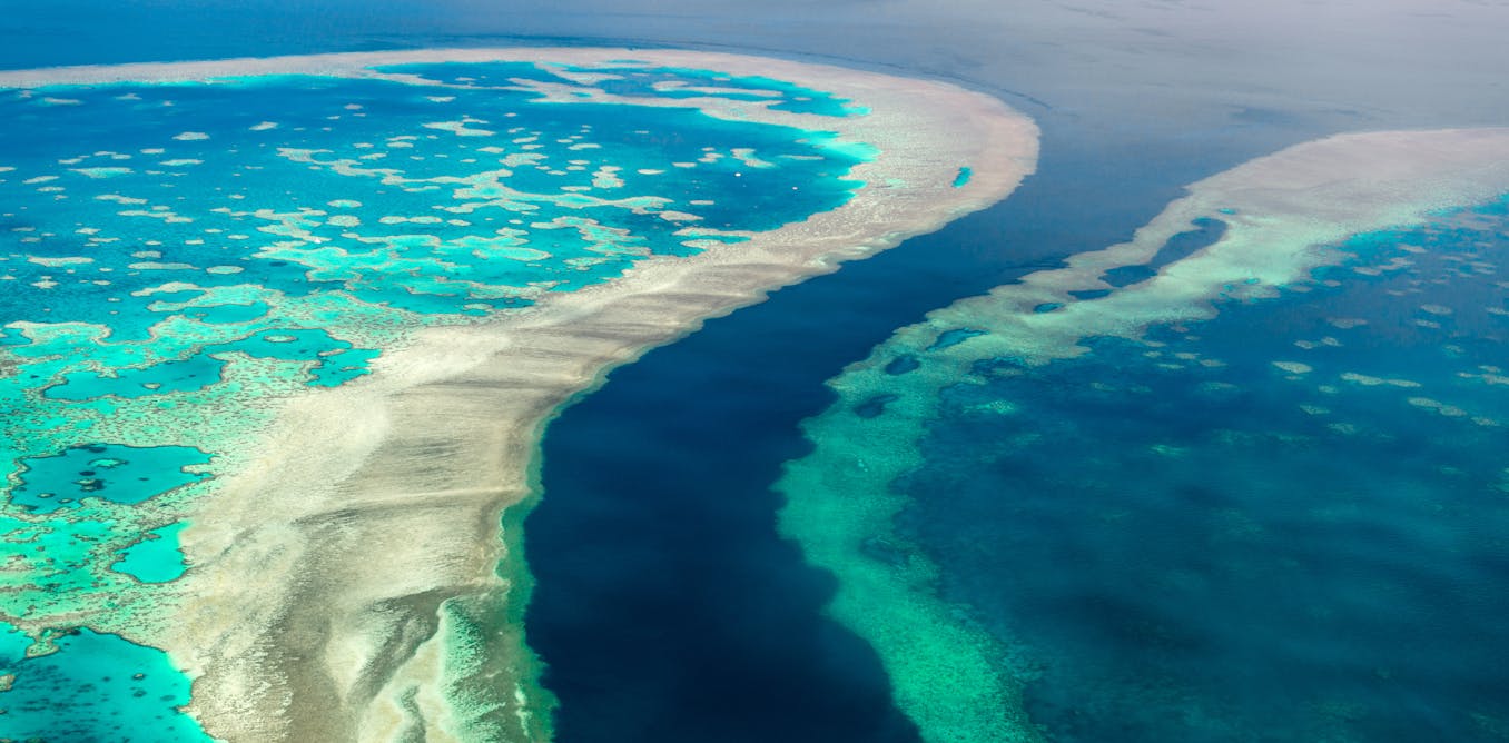Australia's marine (un)protected areas: government zoning bias has left