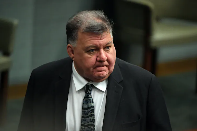 Liberal MP for Hughes Craig Kelly.