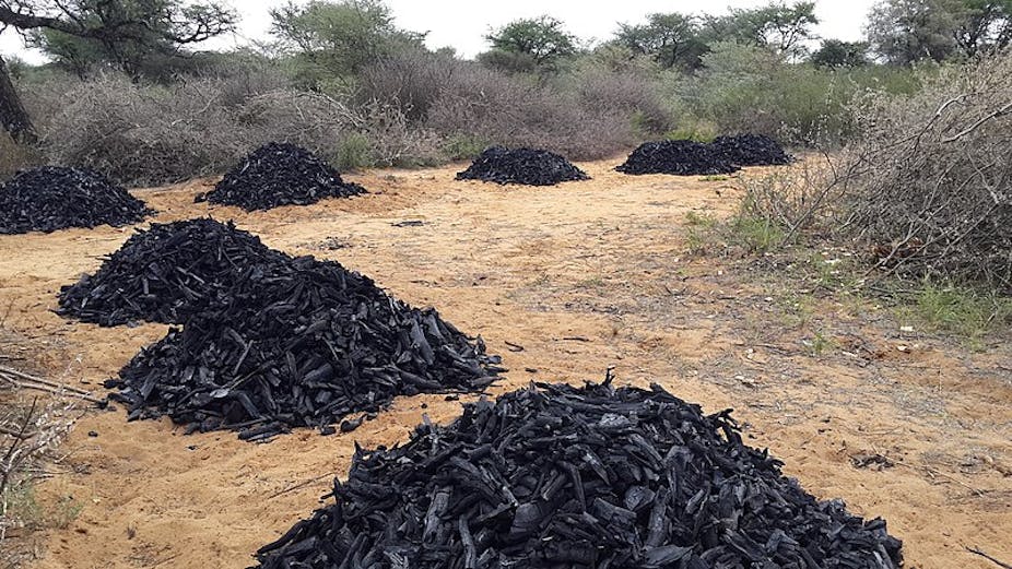 Heaps of charcoal on the ground with bushes and trees in the background