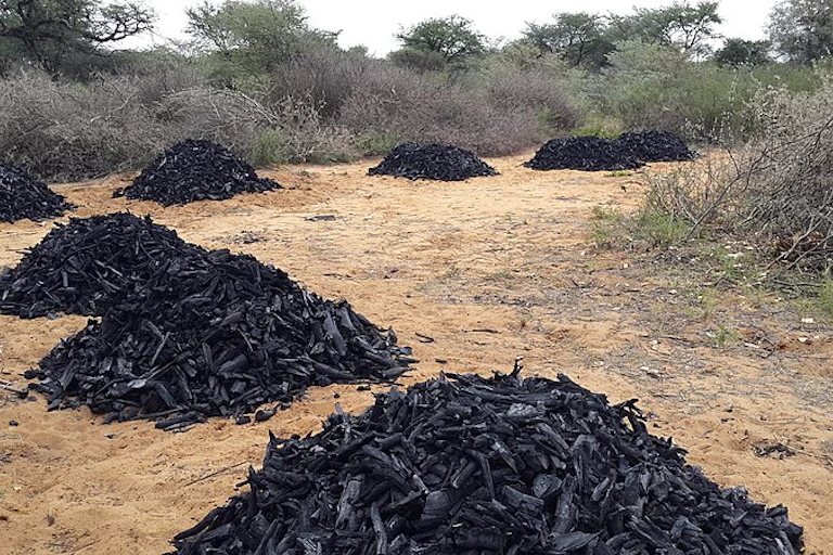 Heaps of charcoal on the ground with bushes and trees in the background