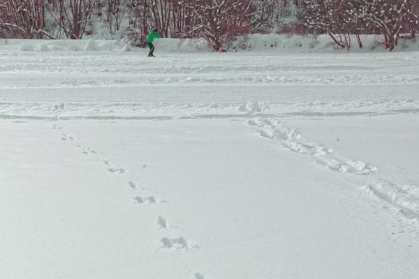 Traces dans la neige