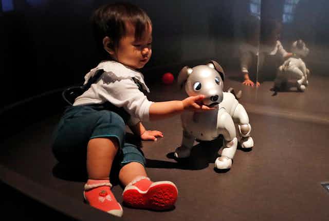 a toddler touches the chin of a robot dog