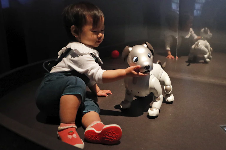 a toddler touches the chin of a robot dog