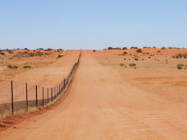 The dingo fence in the Strzelecki Desert.