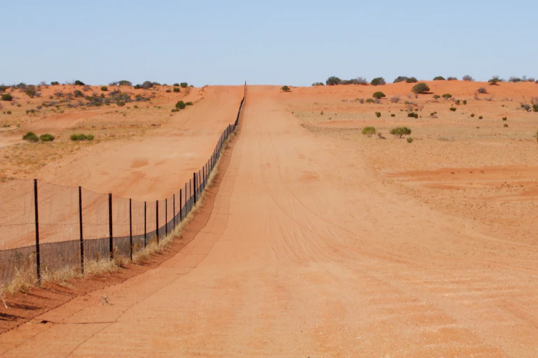 The dingo fence in the Strzelecki Desert.